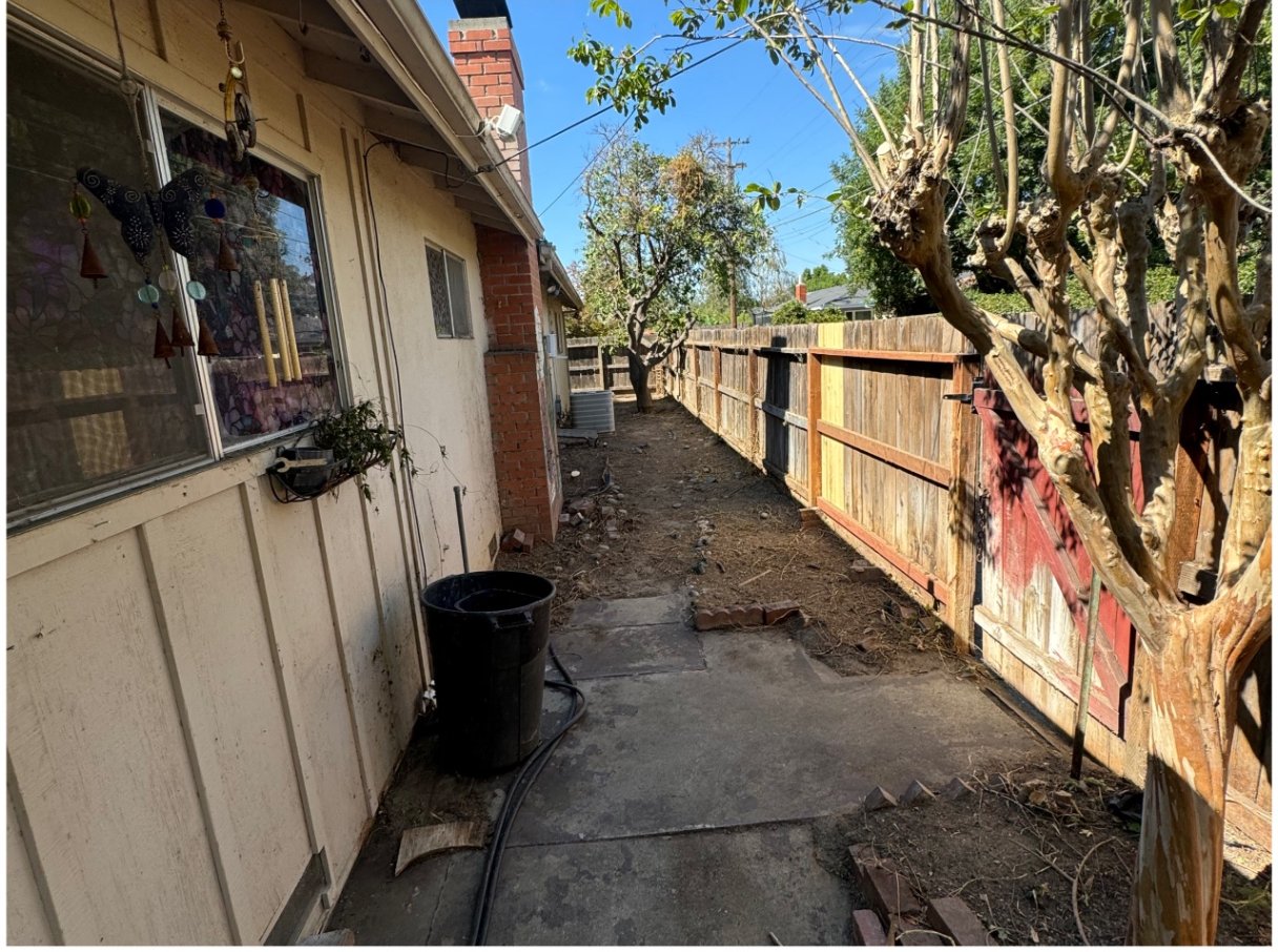 Side yard ivy & brush removal — after