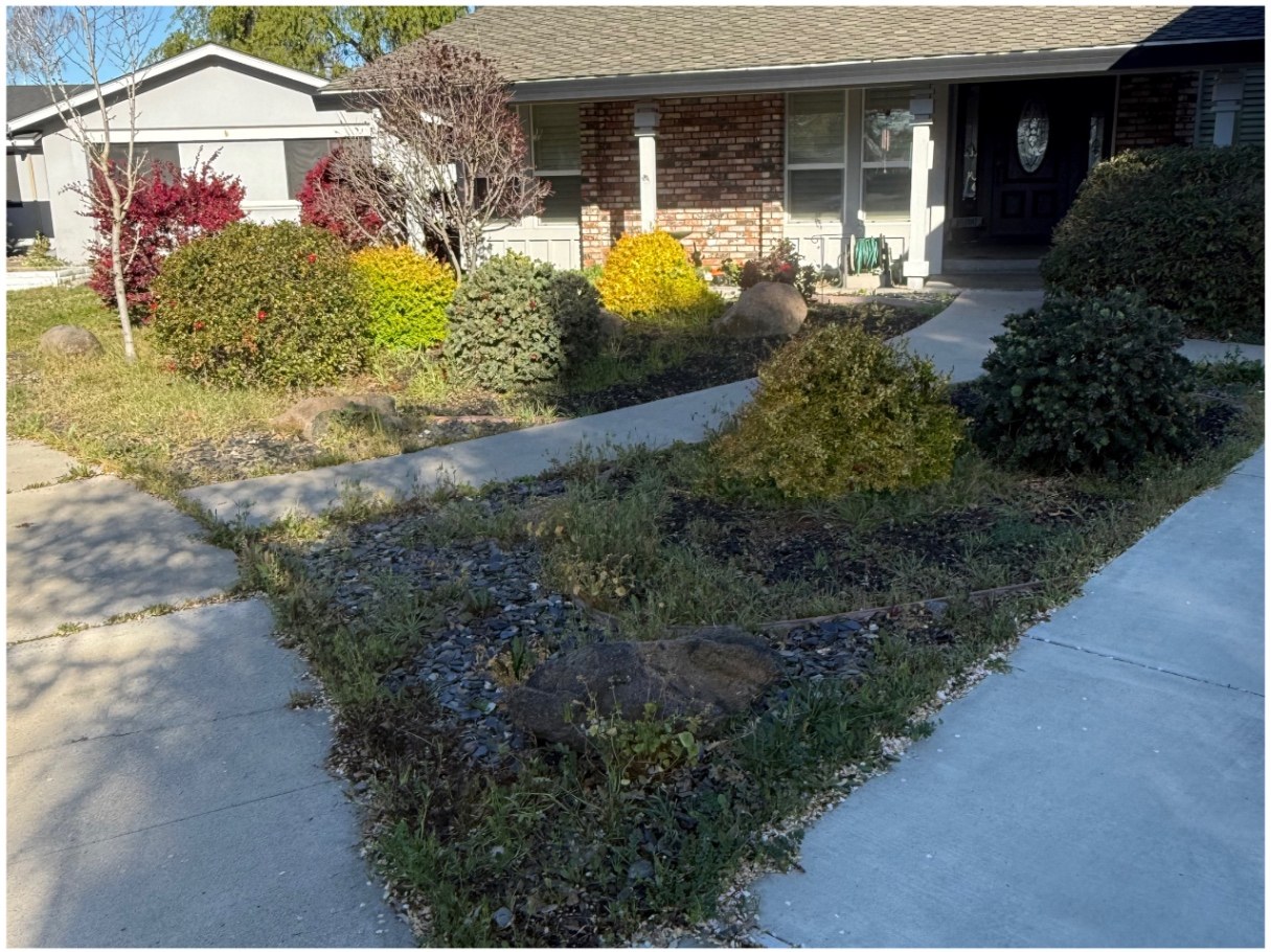 Black rock landscape refresh — before