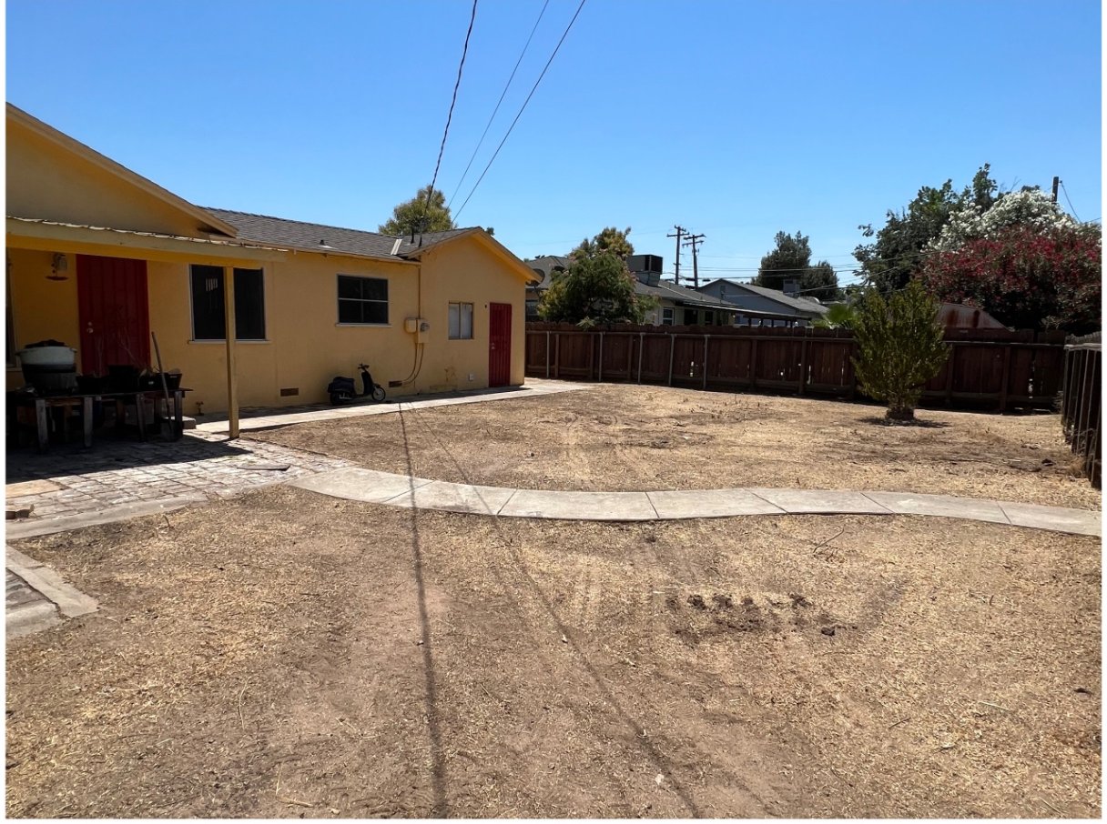 Backyard overgrowth cleared — after